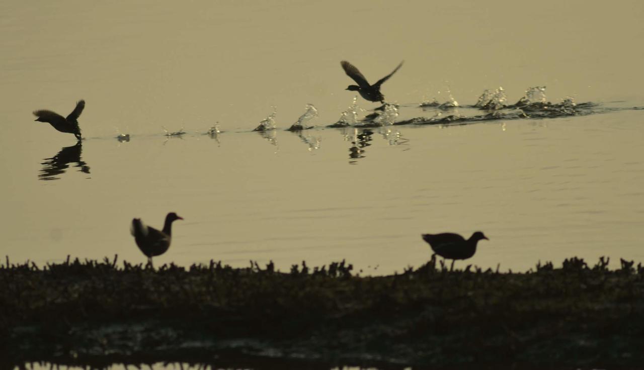 Water Bird Family Lejlighed Toucheng Eksteriør billede